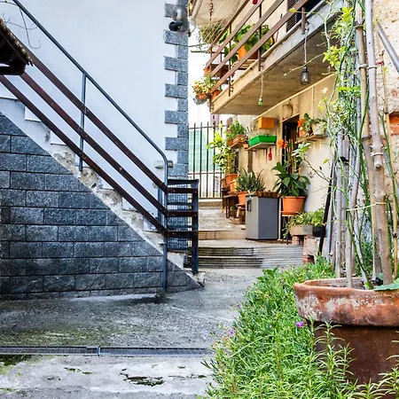 La Casa Di Amelia By World * Pisano