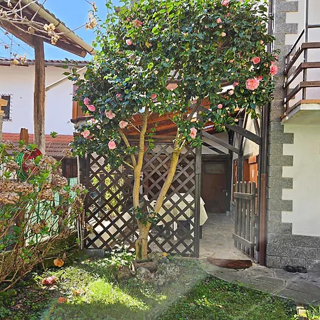 La Casa Di Amelia By World